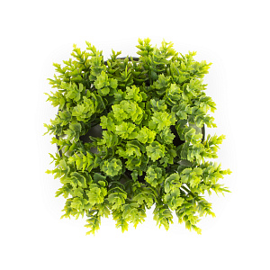 Цветок декоративно-лиственный 12см R010464 000000000001189328