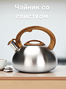 Чайник со свистком 3л PIONEER BON MATTEO/HEIRLOOM нержавеющая сталь 000000000001220094