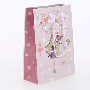 Сумка бумажная 14х20х6,5см ОПТИМА ламинированная 000000000001215515