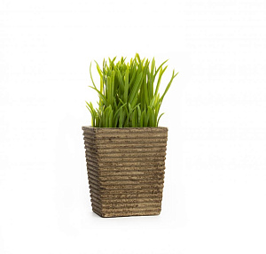 Растение искусственное Травка 19см R010636 000000000001192377