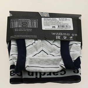 Трусы мужские р.48-50 PIERRE CARDIN цветные 95%хлопок 5%эластан 000000000001198261