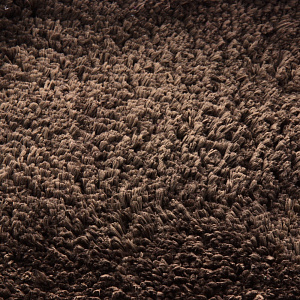 Коврик для ванны DE'NASTIA 50х80см коричневый микрофибра M000014 000000000001107621