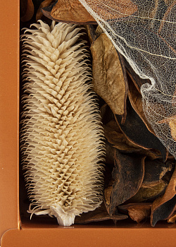 Отдушка цветочная 23см 000000000001216405