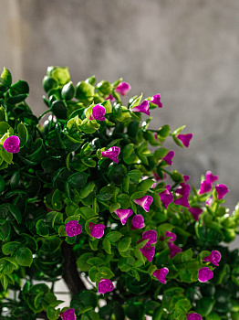 Цветок искусственный Розовый куст 30см R010645 000000000001192386