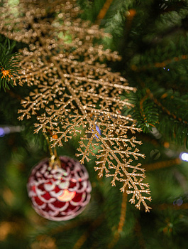 Ведро 7л ШЕФ ПОЛИМЕР. Экологически чистый ударопрочный материал. Усиленный Корпус.Утолщенное дно.Бортик усилен ребрами жесткости. Красное.Полипропилен 000000000001209399