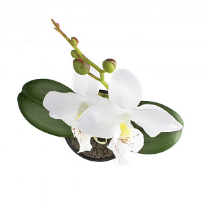 Цветок искусственный "Орхидея" 23см R010818 000000000001196700