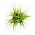 Растение искусственное Травка 19см R010636 000000000001192377