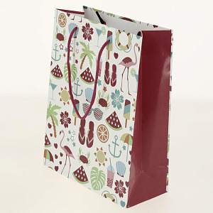 Подарочный бумажный пакет Премиум+, 22x17x10 см 000000000001036473