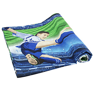 Комплект постельного белья 1,5-спальный DRIVE Футбол 100%хлопок поплин 110гр/м рисунок 1693 000000000001169656