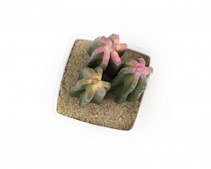 Цветок искусственный "Суккулент" 12-14смR010442 000000000001189307