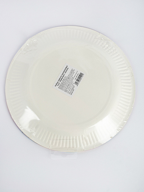 Набор тарелок одноразовых 6шт 23см Хамелеон полосы бумага 000000000001210190