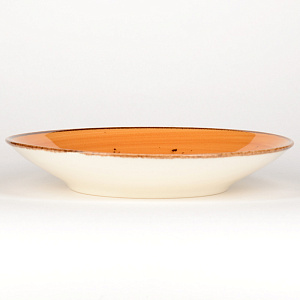 Набор столовой посуды 24 предмета TULU PORSELEN Deniz ORANGE фарфор 000000000001210096