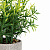 Цветок искусственный растение Розмарин 23см в горшке 000000000001218487