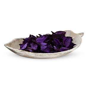 Сухоцвет 100гр FORA в ассортименте 000000000001222590