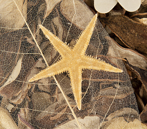 Отдушка цветочная 23см 000000000001216405