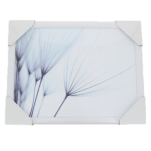 Репродукция 30х40см Декарт (1) мдф в40 8Л2346 000000000001205355