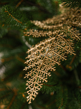 Ведро 7л ШЕФ ПОЛИМЕР. Экологически чистый ударопрочный материал. Усиленный Корпус.Утолщенное дно.Бортик усилен ребрами жесткости. Красное.Полипропилен 000000000001209399