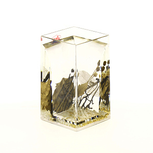 Стаканчик Aurum, гелевый наполнитель384-01 000000000001181994