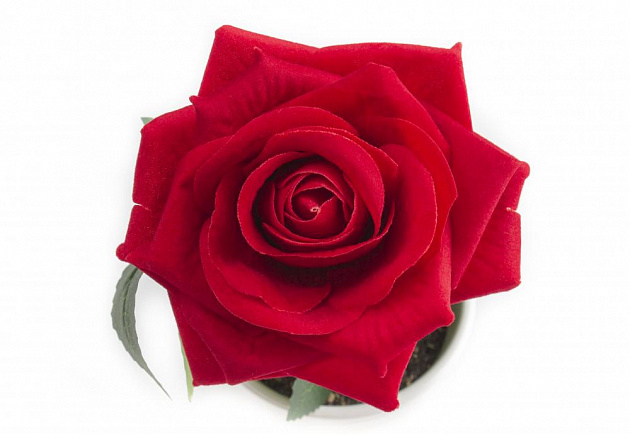Цветок искусственный "Роза"19смR010477 000000000001189340