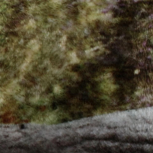 Плед Lucky Animals 150х200 100%пэ 000000000001166038