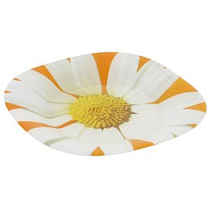 Столовый набор Ромашка Оранж Luminarc, 19 предметов 000000000001062133