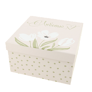 Коробка подарочная 23X23X13см ЖЕНСКАЯ КОЛЛЕКЦИЯ №2 000000000001206255