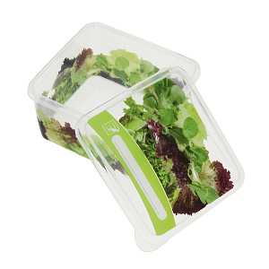 Емкость для хранения продуктов Браво Giaretti, 450мл 000000000001154002