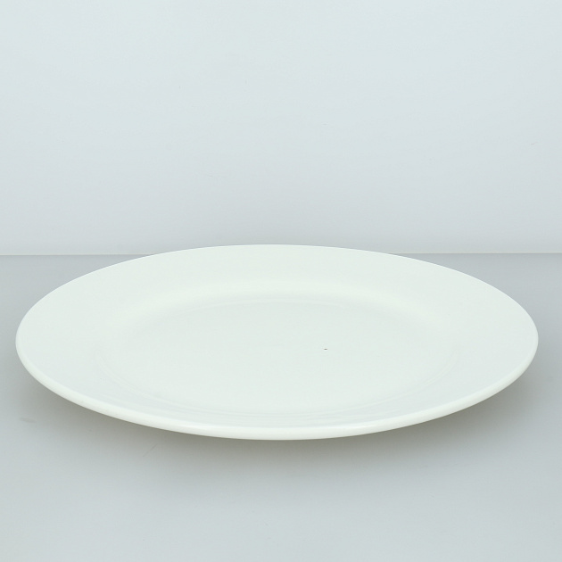 Тарелка обеденная 25см ОБЩЕПИТ белый керамика 000000000001214392