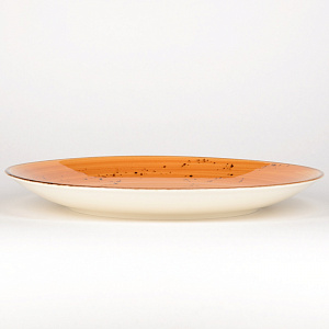 Набор столовой посуды 24 предмета TULU PORSELEN Deniz (тарелки:обеденная 26см-6шт,суповая 21см-6шт,десертная 21см-6шт,салатник 16см-6шт) ORANGE фарфор 000000000001210096