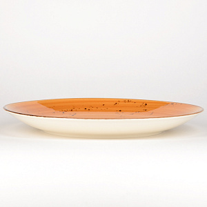 Набор столовой посуды 24 предмета TULU PORSELEN Deniz ORANGE фарфор 000000000001210096