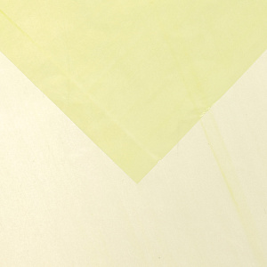 Набор пакетов Green fresh bag You'll love, 10 шт. 43?28 см, 10 шт. 38?25 см 000000000001015136