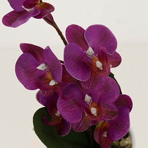 Цветок искусственный Орхидея 30см R010639 000000000001192380