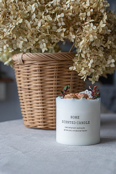 Свеча 7,5х7,5см классическая колонна Natural herbs 000000000001209203