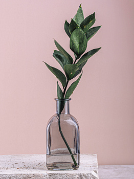 Ваза стеклянная "Shtof" 13,5см R011038 000000000001199228