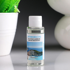 Аромамасло для доливки в диффузер 30мл (сменный наполнитель) Океан ТТ030 000000000001204248
