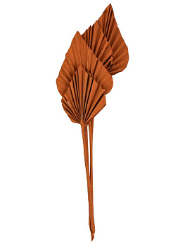 Сухоцветы 17x4x70см DE'NASTIA Лист пальмовый микс цветов 000000000001228198