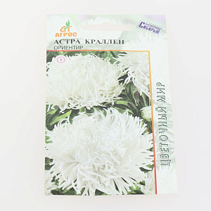 Семена Астра Краллен Ориентир 0,3г Китай 000000000001137584