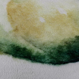 Плед. Цвет:Dis.19 цветы Размер: 130*160-1 шт. Состав:100% полиэстр 000000000001160656