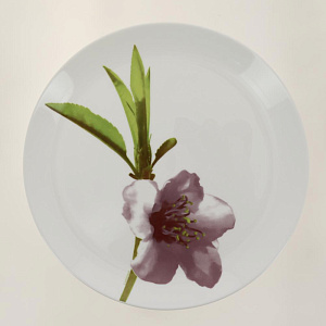 ВОТЕР КОЛОР Набор столовой посуды 19 предметов E4905 000000000001120074