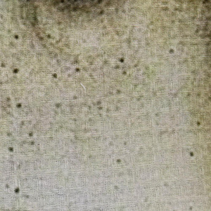 Набор полотенец 2шт Этель Венера 100% хлопок 000000000001206643