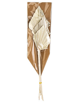 Сухоцветы 17x4x70см DE'NASTIA Лист пальмовый микс цветов 000000000001228198