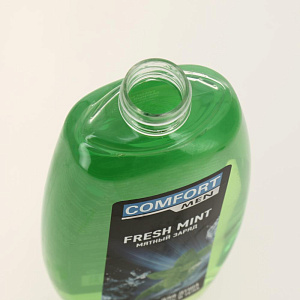 Гель для душа FRESH MINT Мятный заряд 530мл П 5/21 000000000001199835