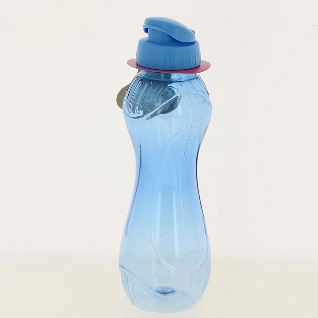 Бутылка для напитков 650мл FACKELMANN пластик 000000000001188014
