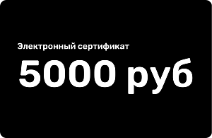 Электронный подарочный сертификат 5000 рублей Электронный подарочный сертификат 5000 рублей 000000000007000357