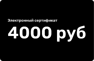Электронный подарочный сертификат 4000 рублей Электронный подарочный сертификат 4000 рублей 000000000007000356