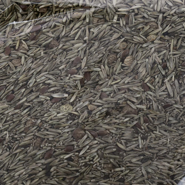 Семена газона Настоящий ЦВЕТУЩИЙ (1 кг) 17492646 упаковка на 32 м2 000000000001195033